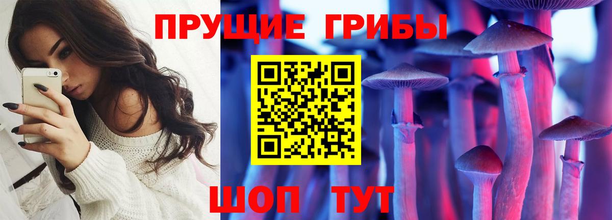 Туапсе  Псилоцибиновые грибы мухоморы  Вход с VPN 