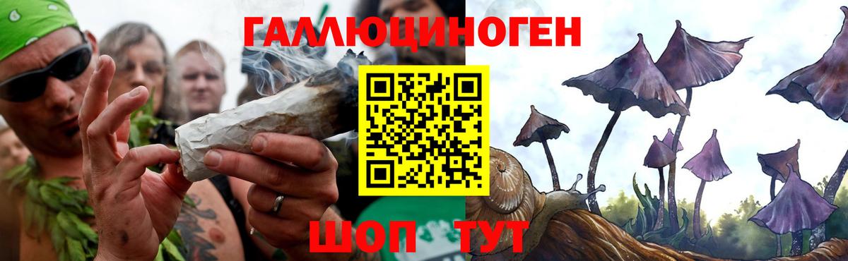 Галлюциногенные грибы мицелий Туапсе